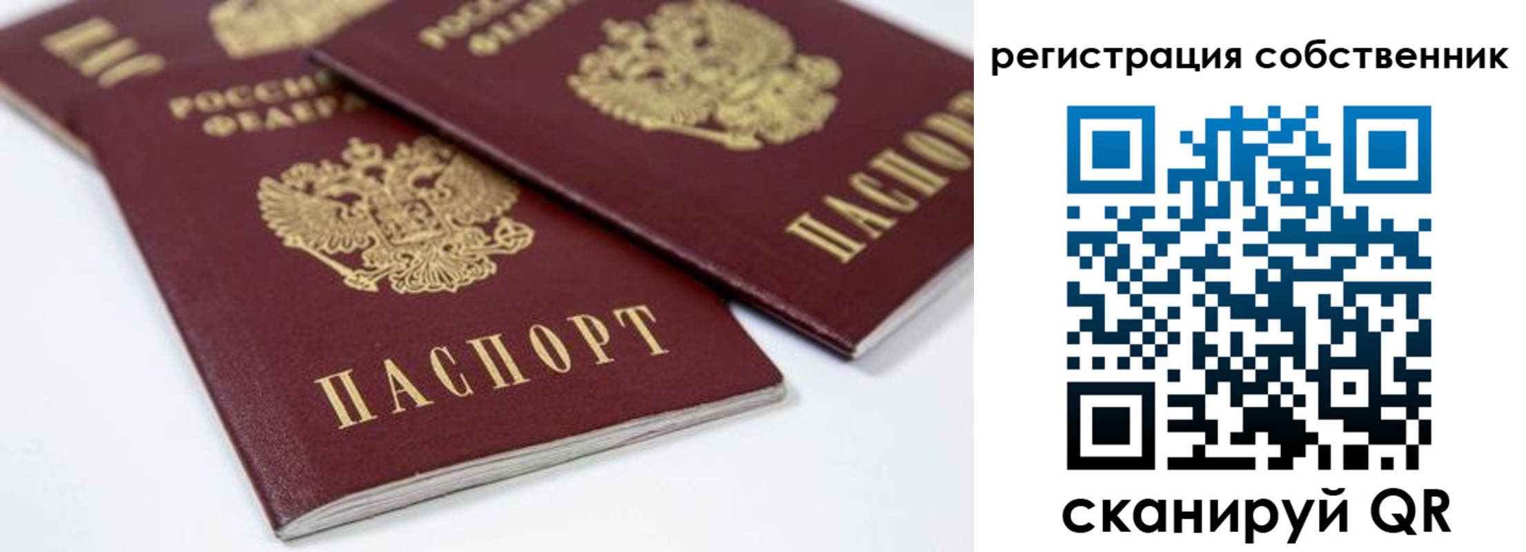 прописка для школы в Сосновке